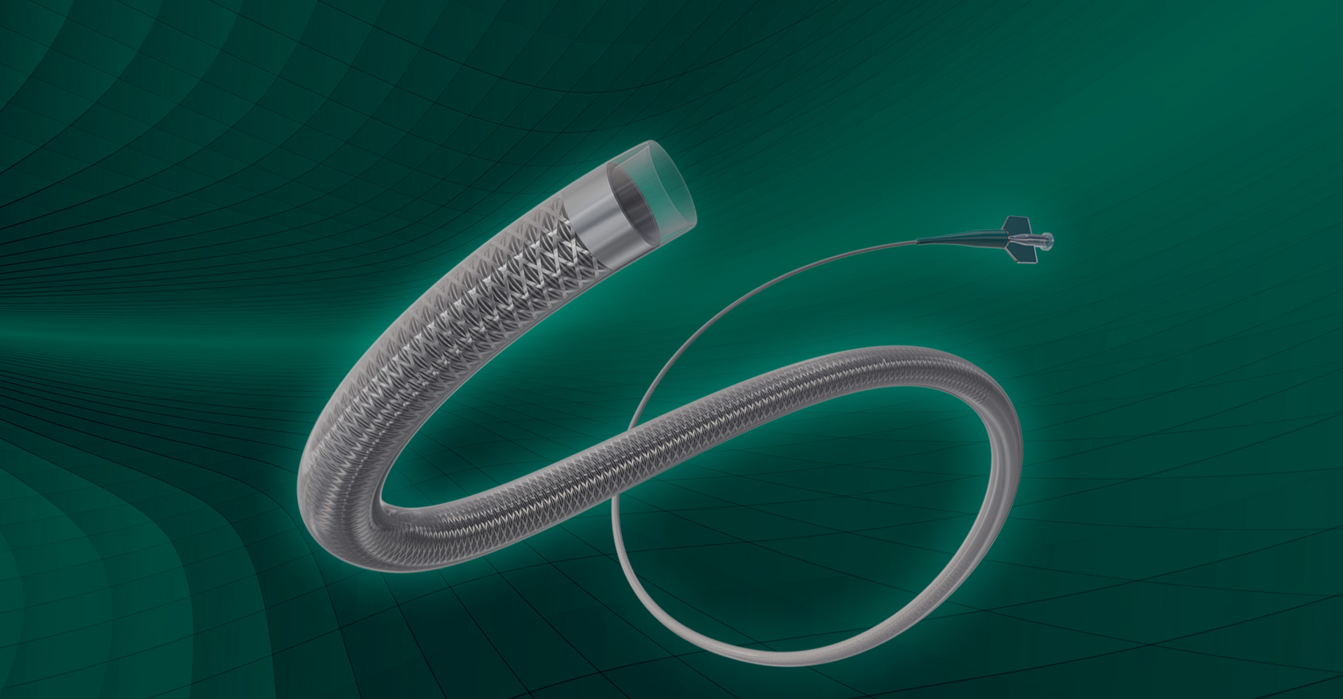 Distal Access Catheter