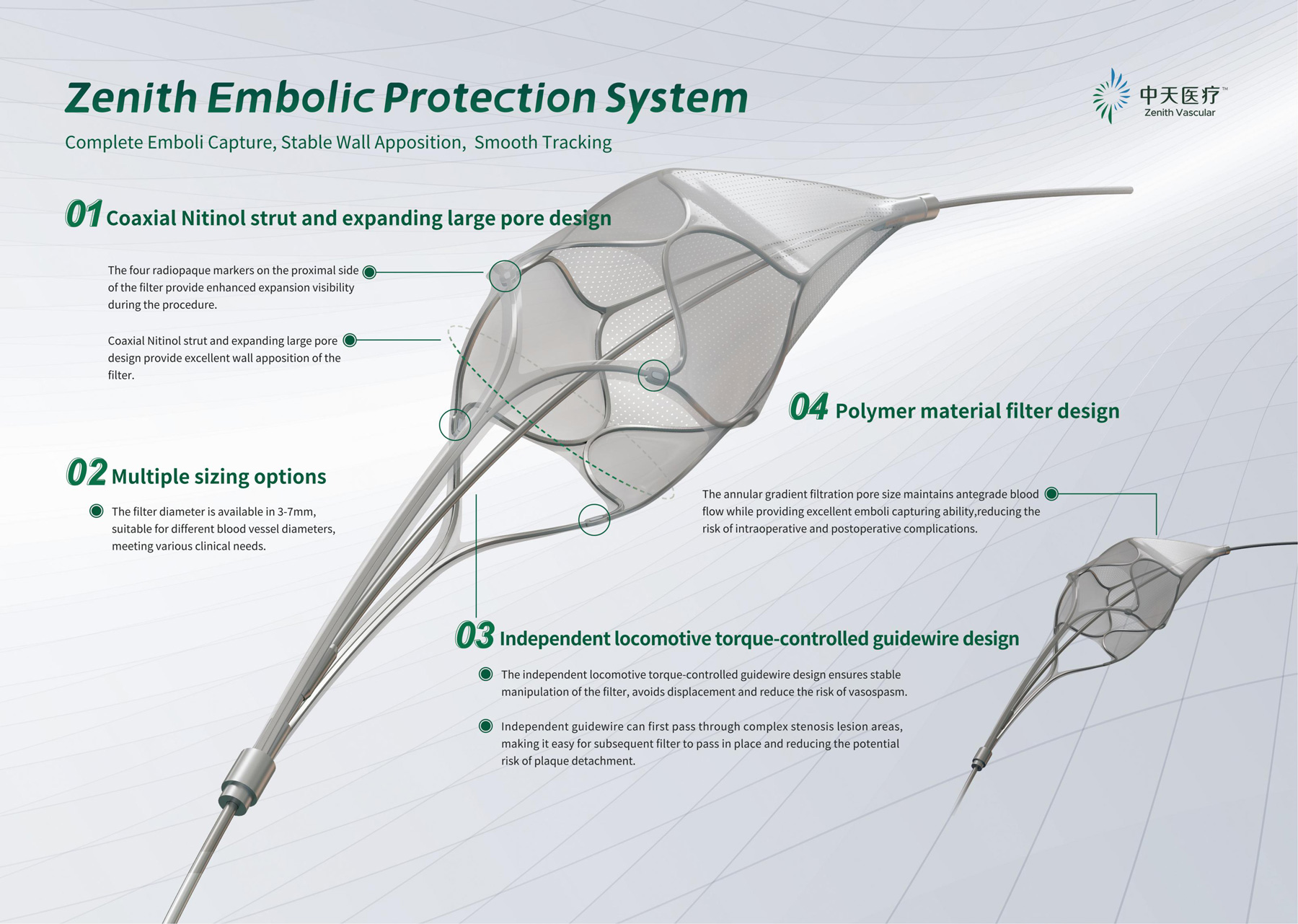 Embolic Protection System