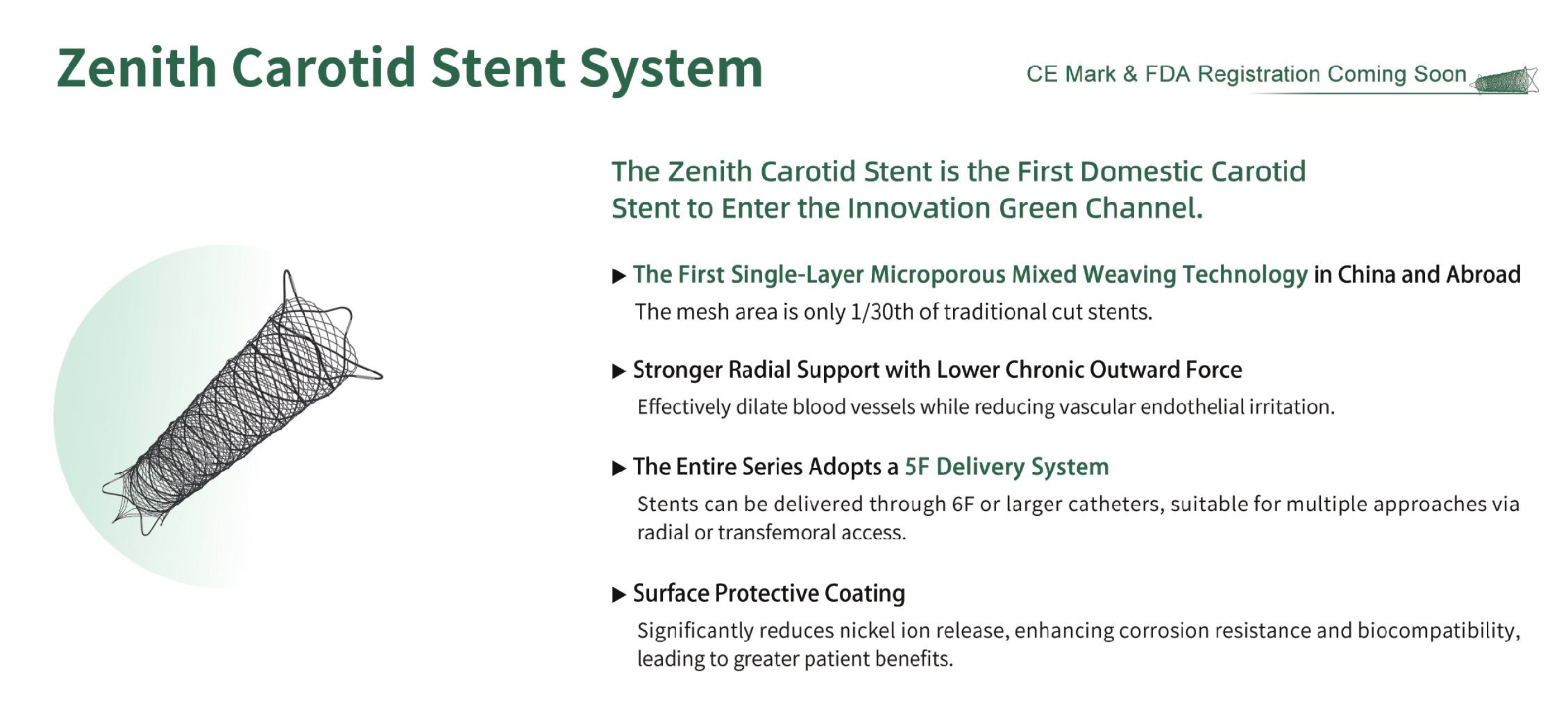 Carotid Artery Stent