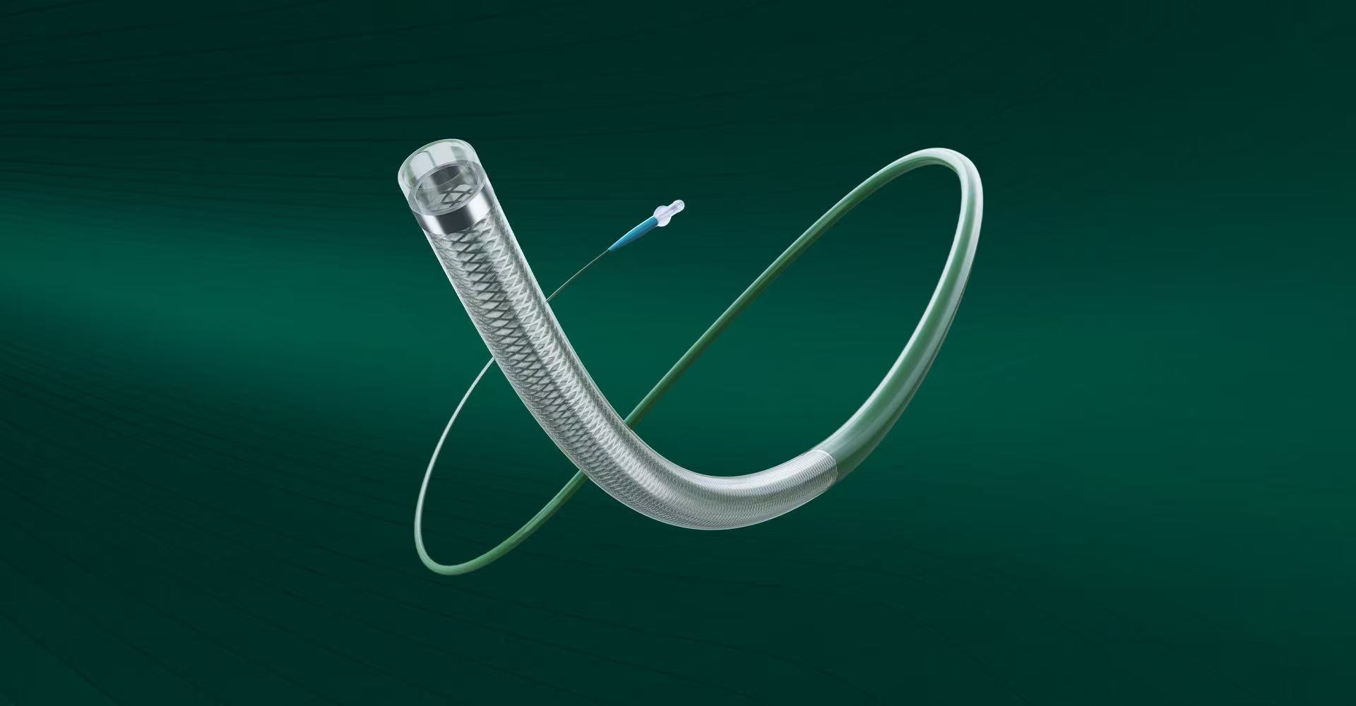 Delivery Catheter