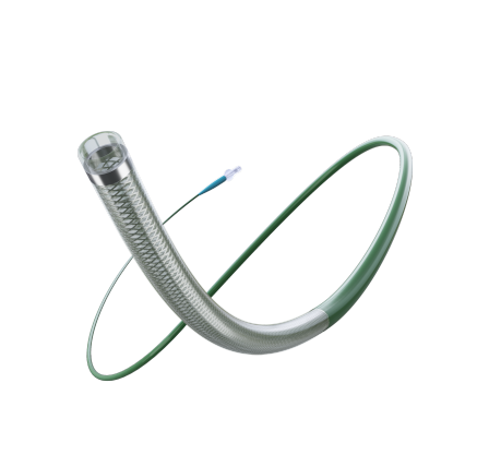 Delivery Catheter