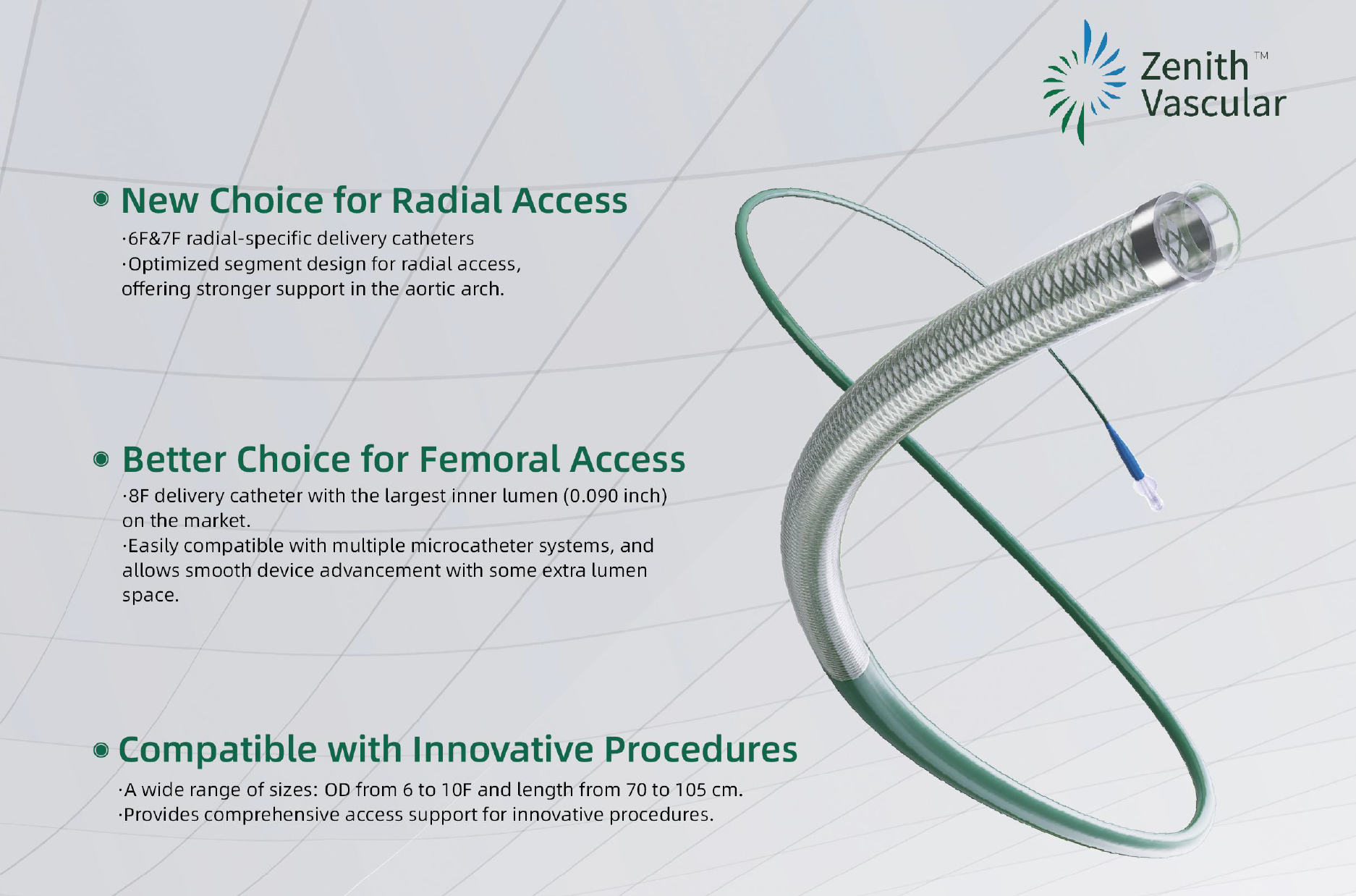Delivery Catheter
