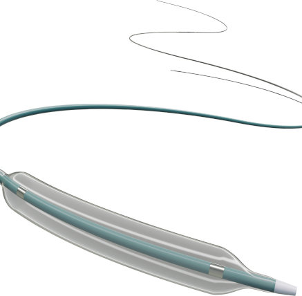 Carotid Artery Balloon Dilatation Catheter