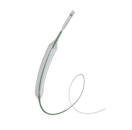 Carotid Artery Balloon Dilatation Catheter