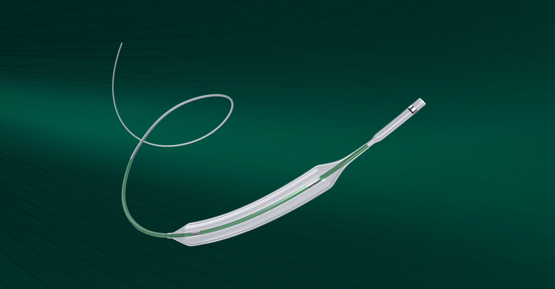 Carotid Artery Balloon Dilatation Catheter