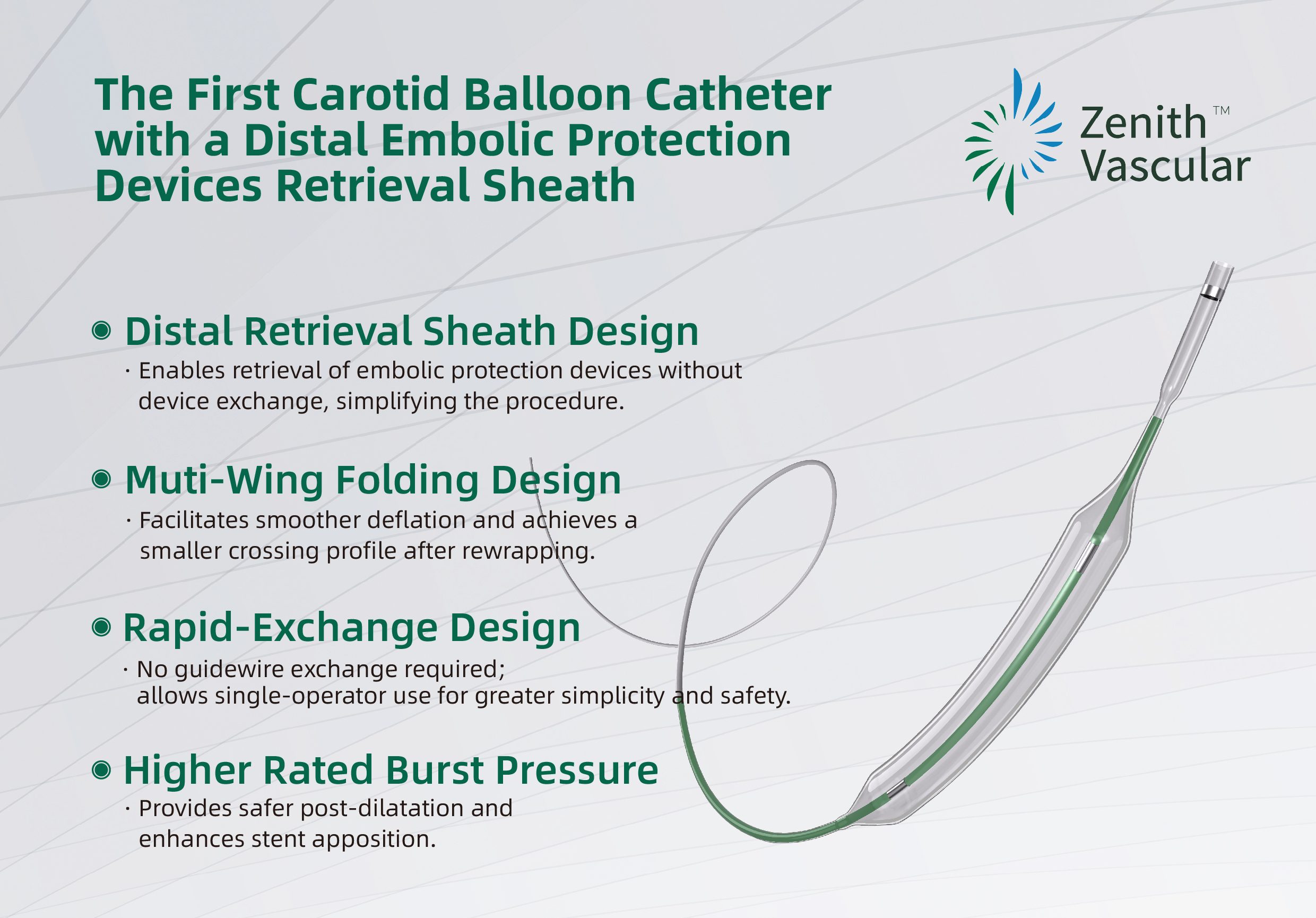 Carotid Artery Balloon Dilatation Catheter