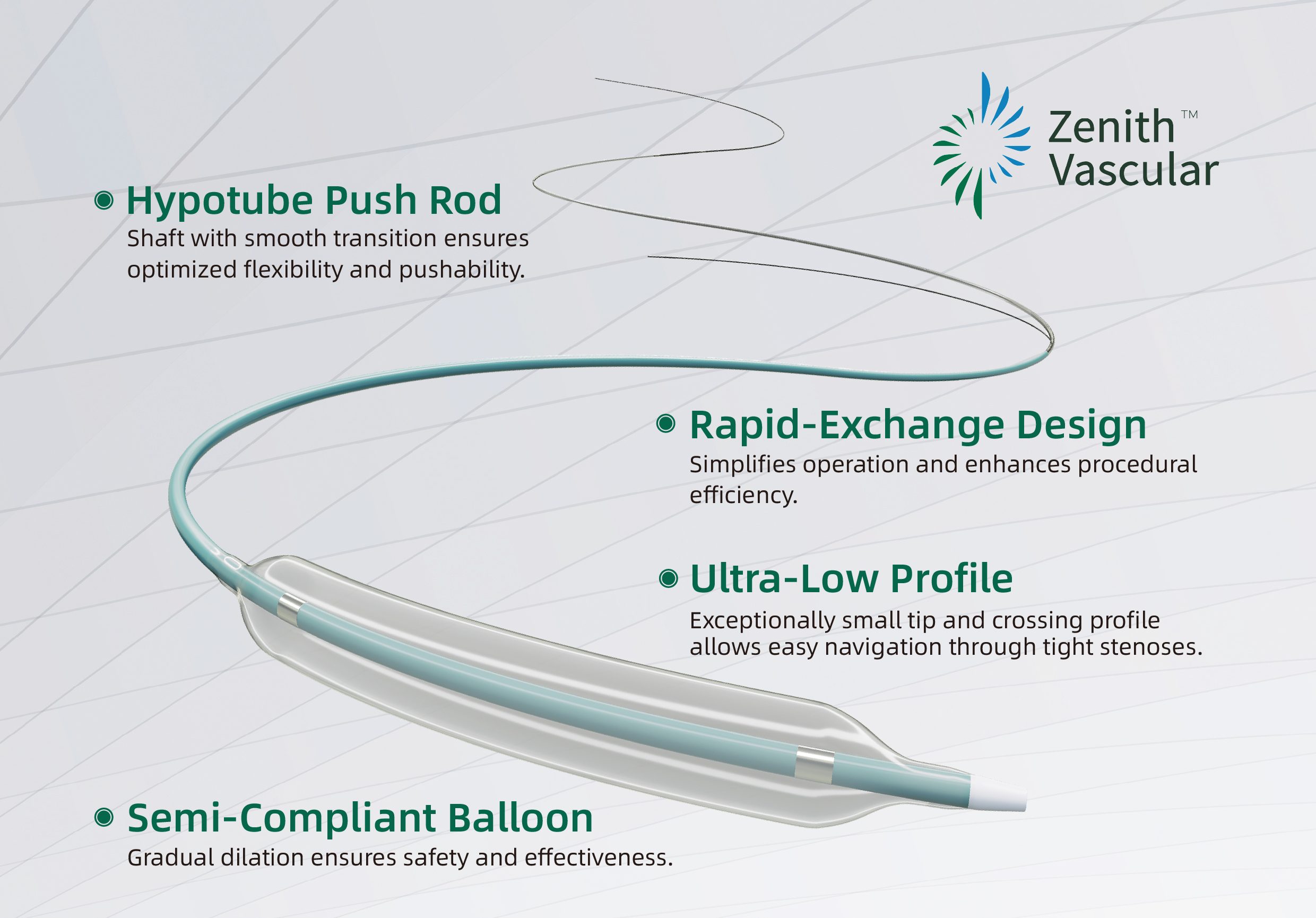 Carotid Artery Balloon Dilatation Catheter