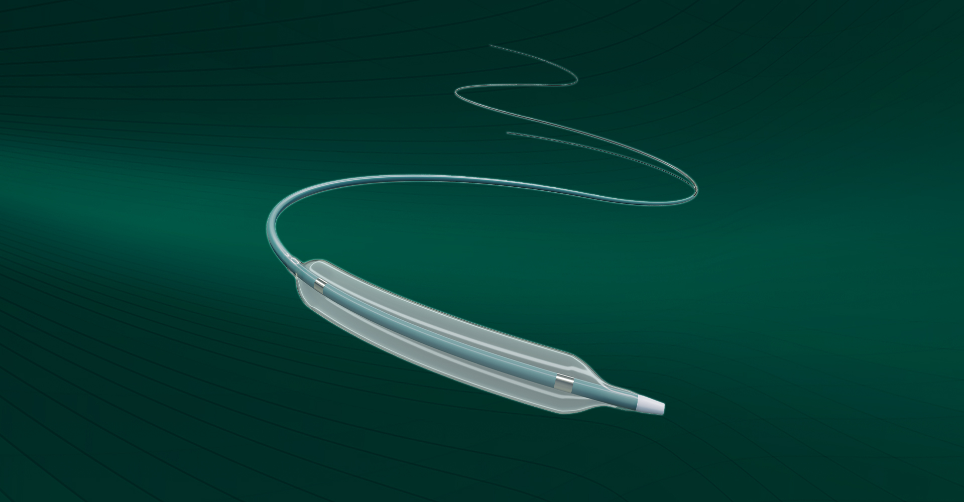 Carotid Artery Balloon Dilatation Catheter
